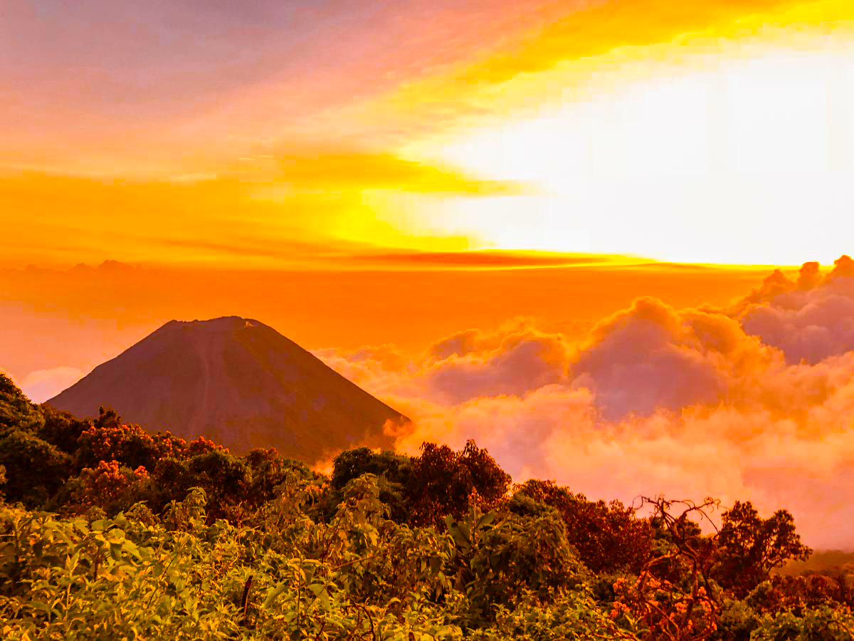 El Salvador en tus manos