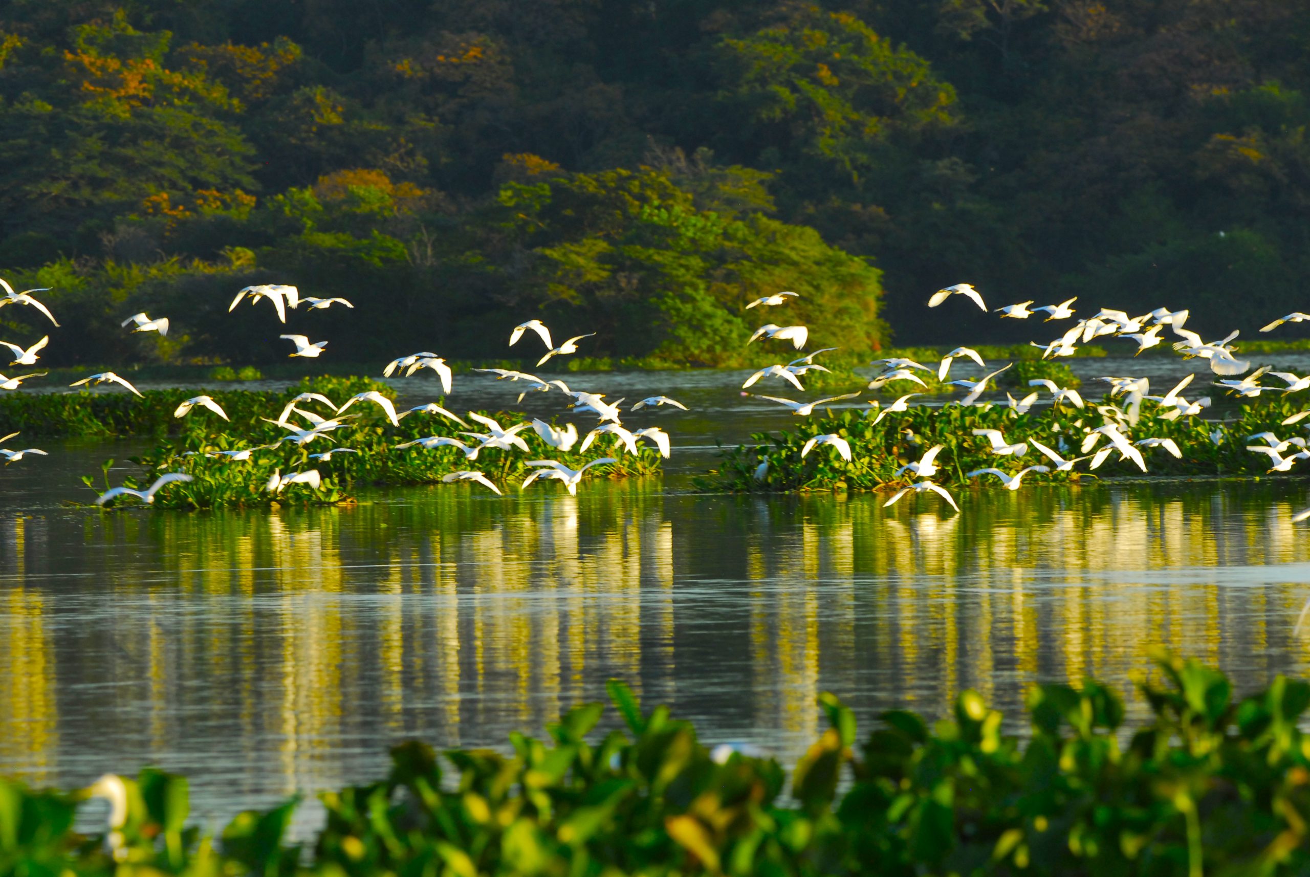 El Salvador Impresionante - imagen 4