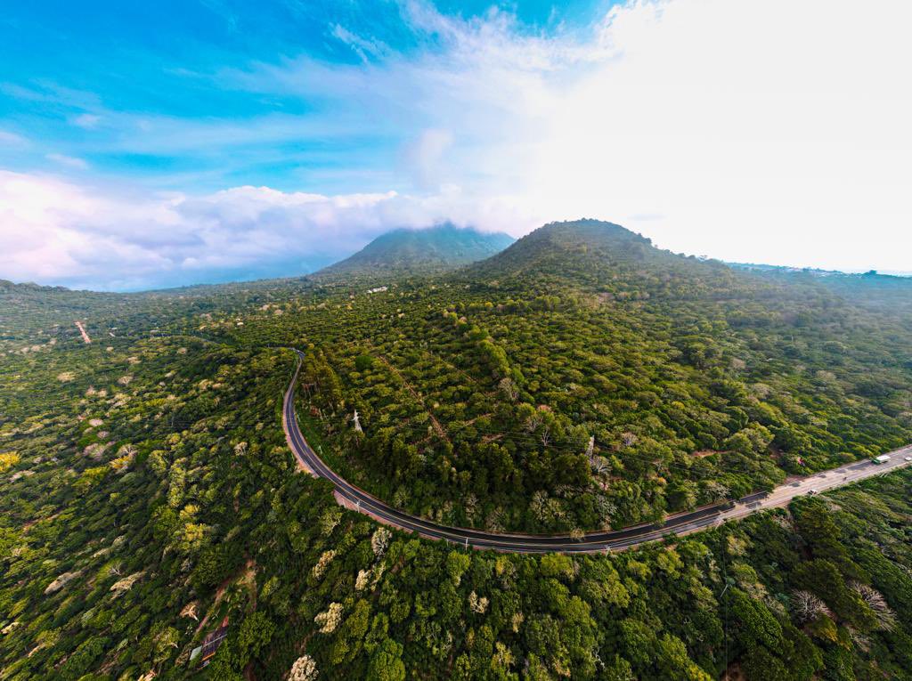 Ruta de las Flores