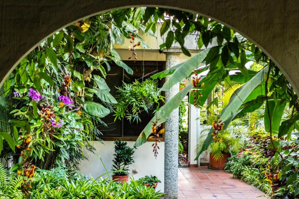 Eco Hotel Árbol de Fuego