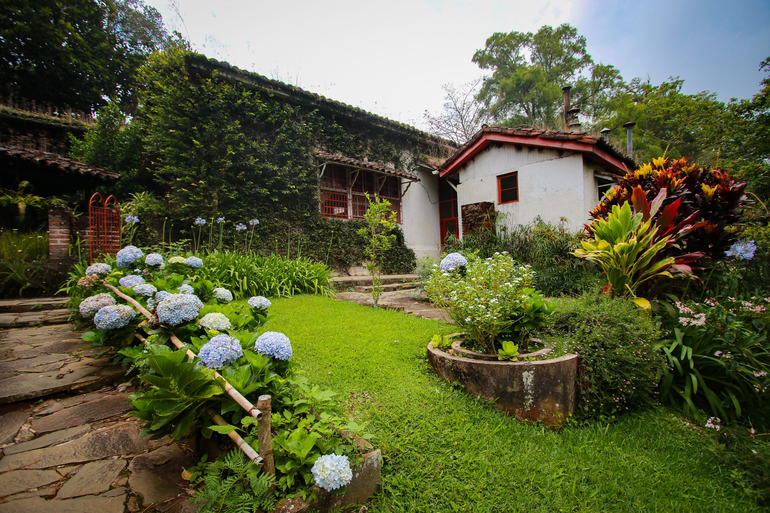 Cerro Verde & Ruta del Café