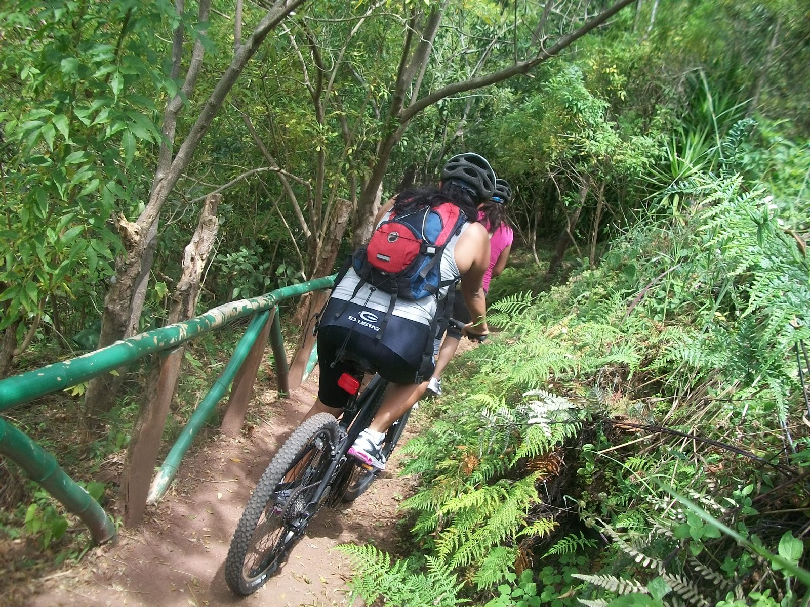 Bici montaña - imagen 2