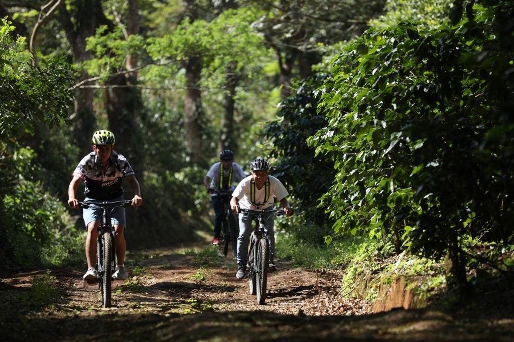 Bici montaña