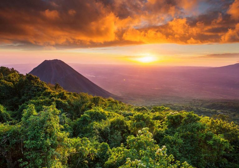 Cerro Verde & Ruta del Café - imagen 2