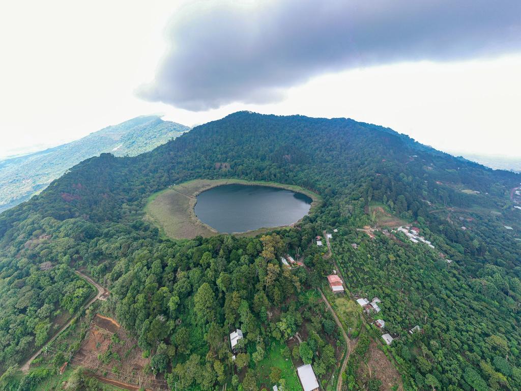 Cerro Verde & Ruta del Café - imagen 3