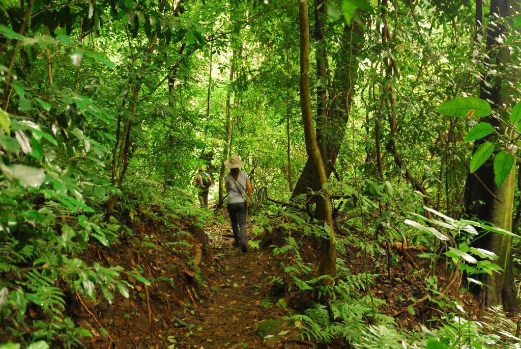 Parque Nacional El Imposible - imagen 2